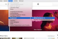 Cara mengotorisasi iTunes di PC Agar Bisa Singkronisasi