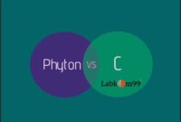 7 Perbedaan Antara Bahasa Pemrograman Python Dan C