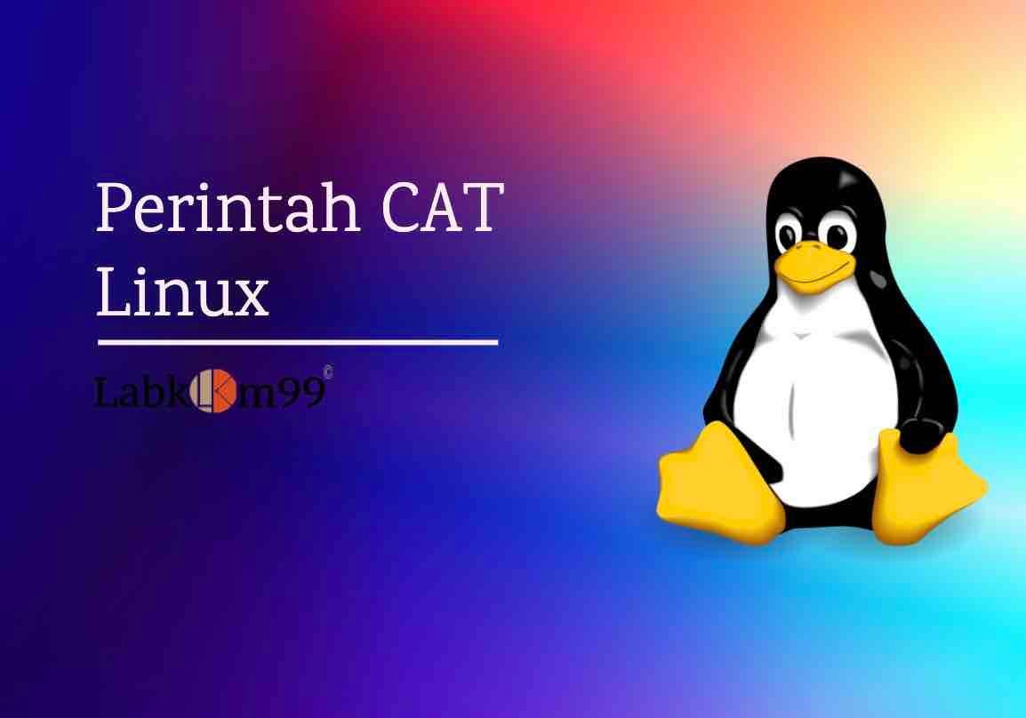Perintah CAT Linux