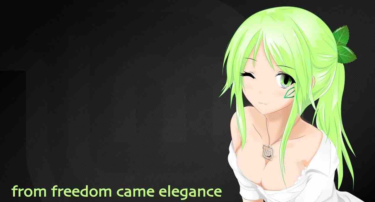 Download Linux Mint Distro Linux Desktop Yang Dianggap Lebih Baik Daripada Ubuntu