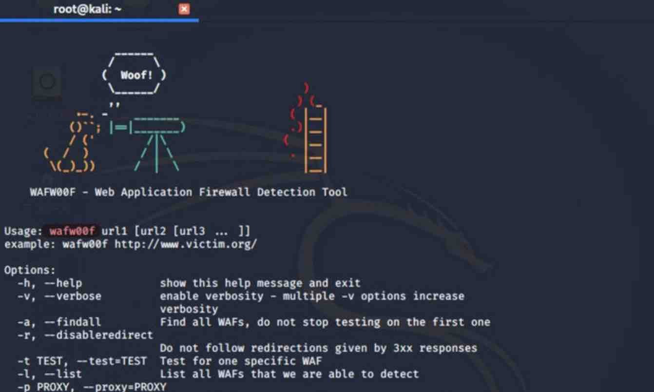 Tools Kali Linux Untuk Pengujian Penetrasi Yang Umum Digunakan
