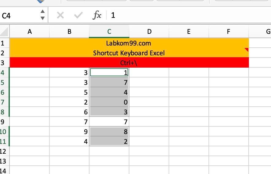 Shortcut Keyboard Excel