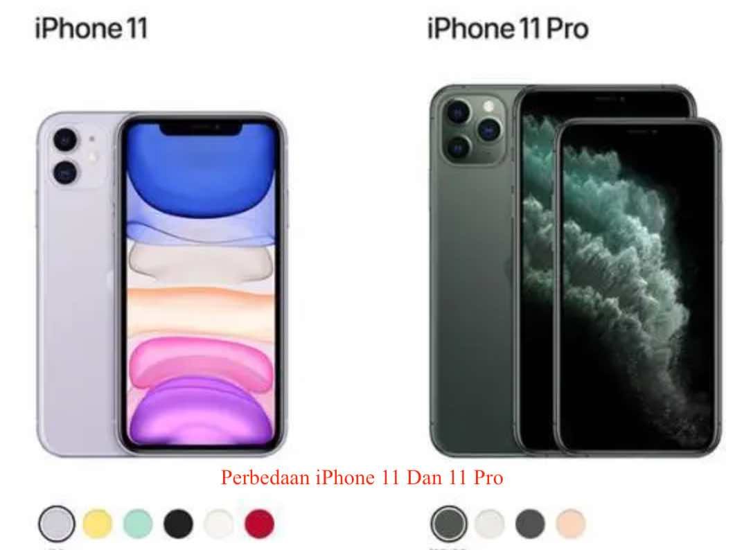 Perbedaan iPhone 11 Dan 11 Pro