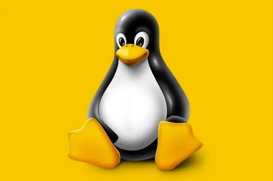 Cara Melihat Alamat IP Website Menggunakan Commands Linux
