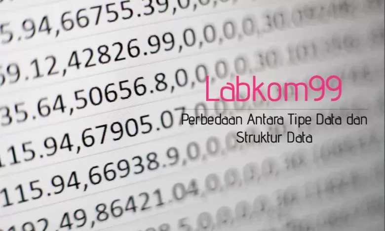Perbedaan Antara Tipe Data dan Struktur Data