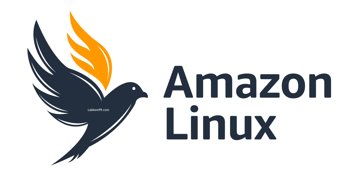 Amazon Linux Sistem Operasi Untuk Layanan Cloud AWS
