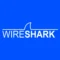 Wireshark: Tool Analisis Jaringan Terbaik untuk Monitoring & Troubleshooting